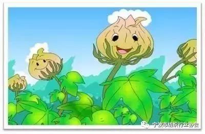 微信图片_20180629133757.jpg